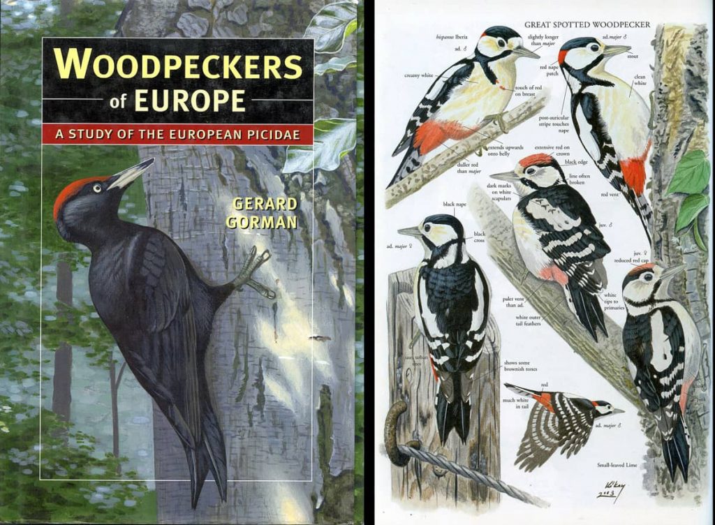 Woodpeckers of Europe (2004)