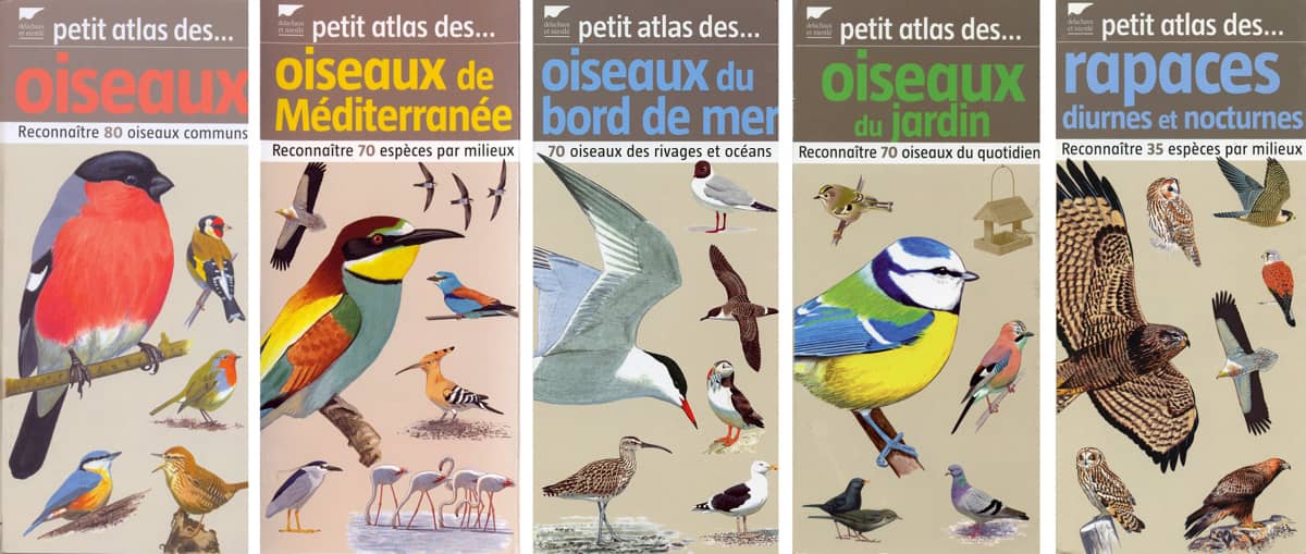 Petit atlas series (2007-2011)