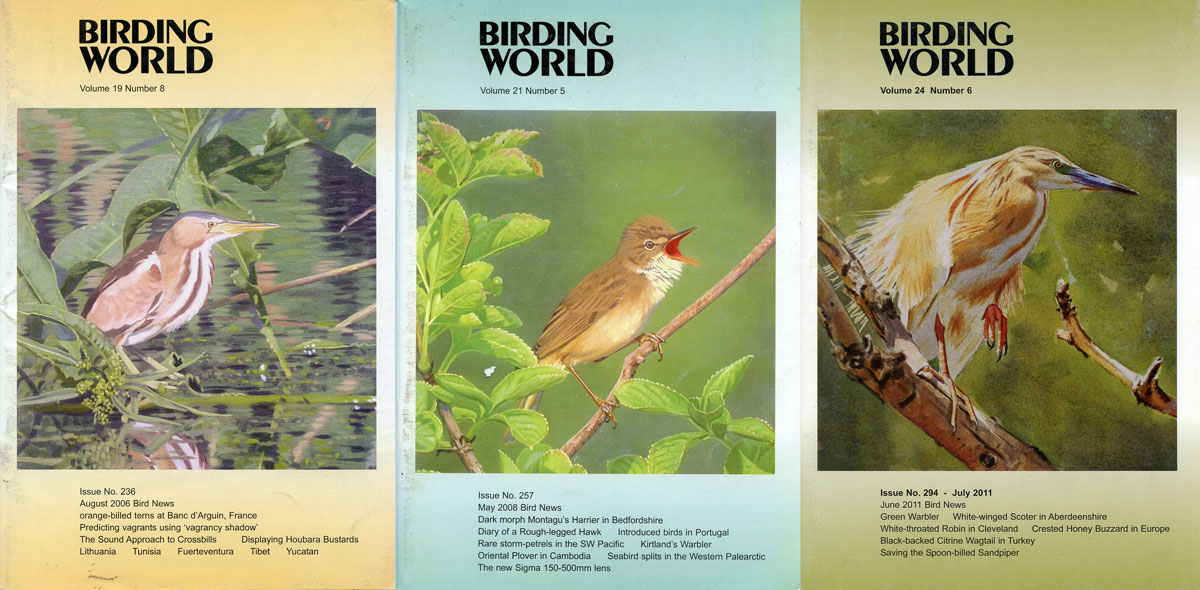 Birding World