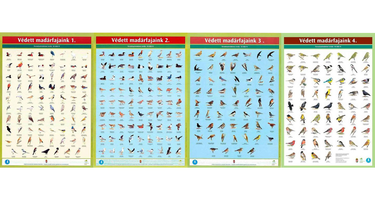 Protected birds of Hungary posters (1-4.)