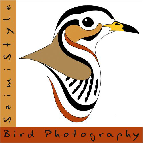 Szimistyle Bird Photography logója