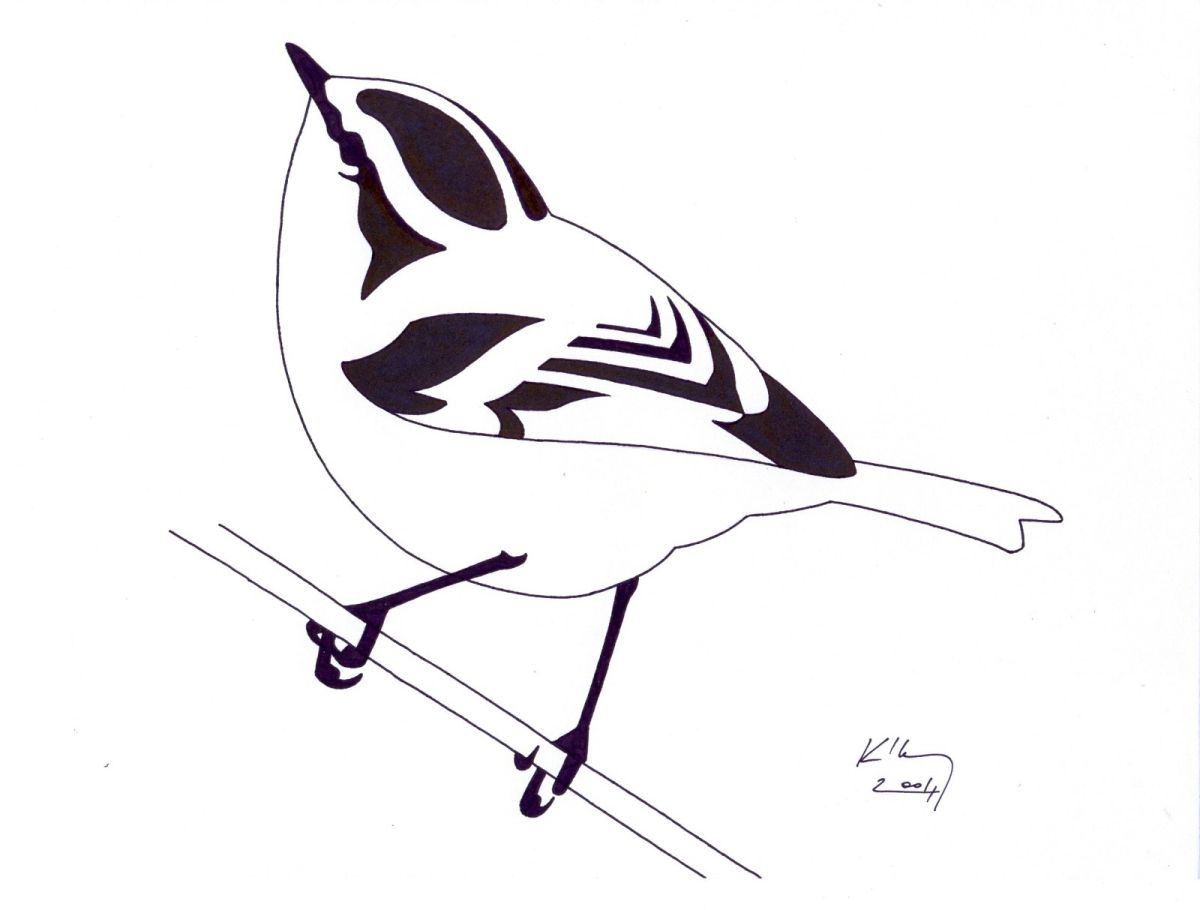 Birding.hu logója