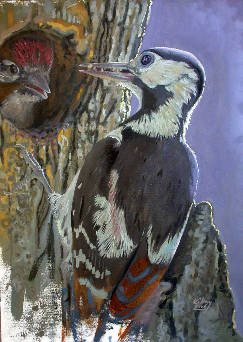 ‘On duty’ (Syrian Woodpecker), oil on canvasboard, 70 x 50 cm