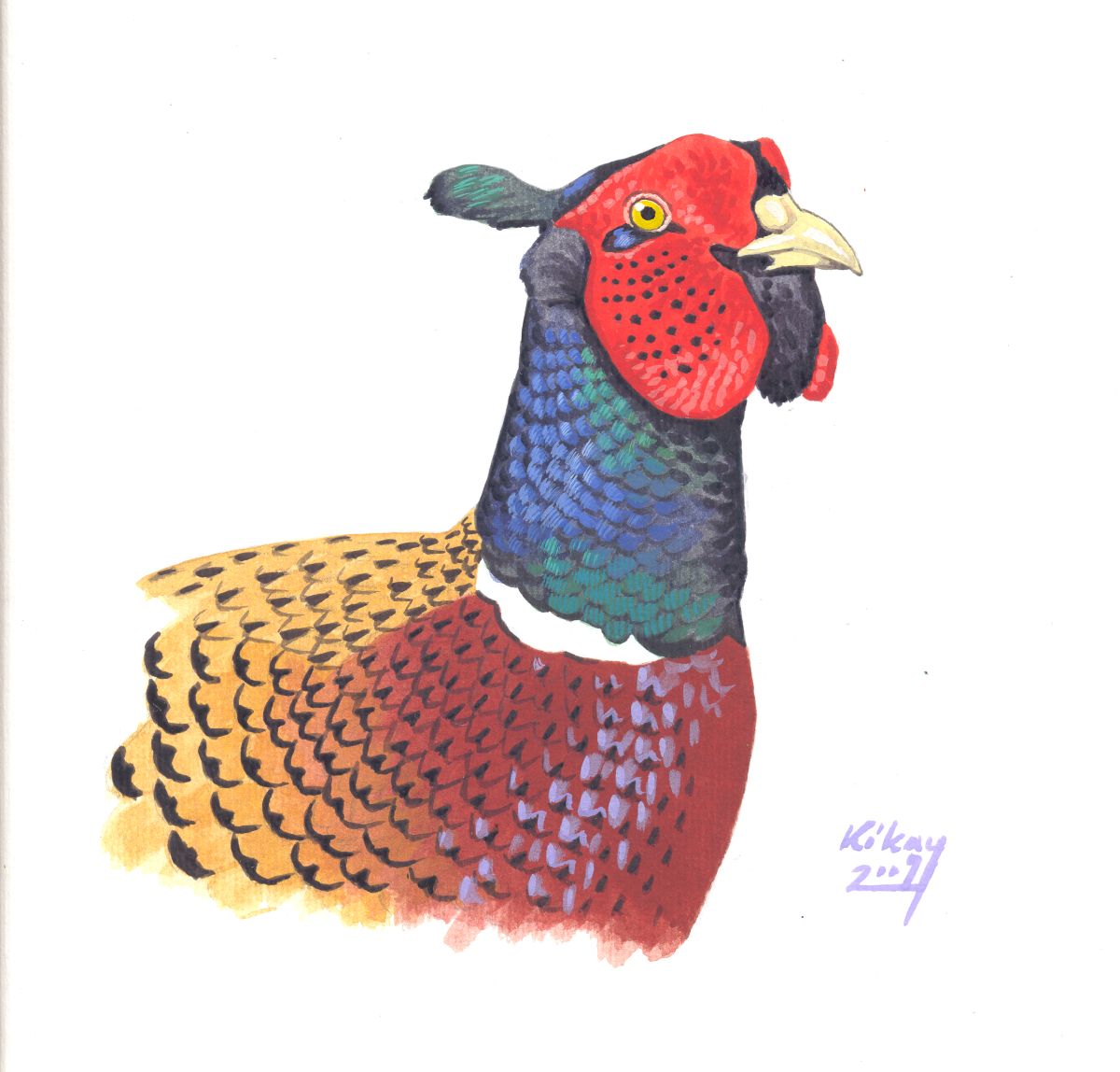 Ring-necked Pheasant (Phasianus colchicus), watercolour and bodycolour on paper