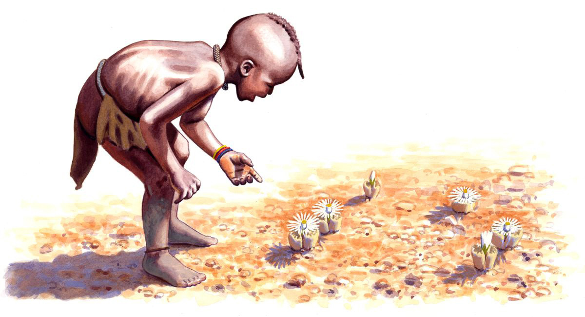 Namíbiai kisfiú, akvarell papíron