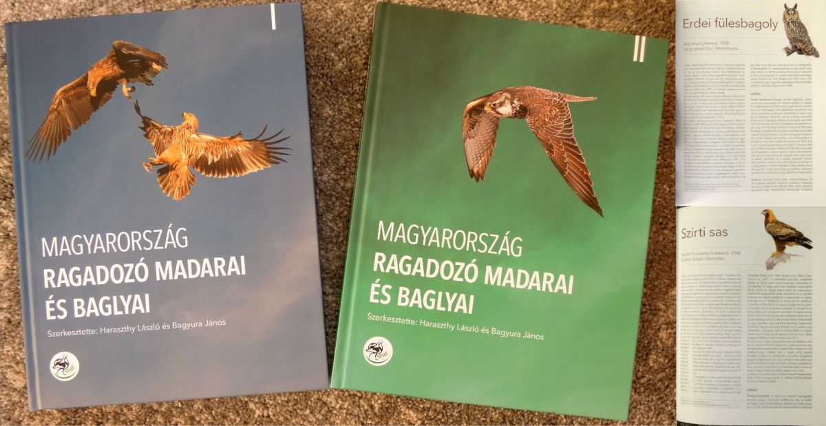 Magyarország ragadozó madarai és baglyai (2022)